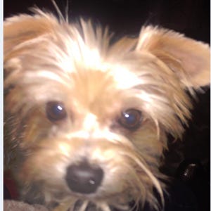 Cheri added a photo of their purchase