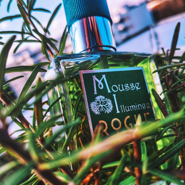 Mousse Illuminee – rogueperfumery