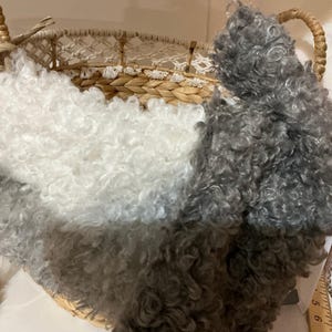 Sofia added a photo of their purchase