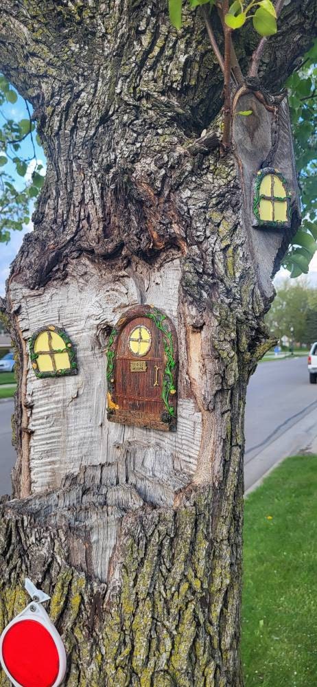 Fairy Door and Windows for Trees Glow in The Dark - Fairy Tree Door- fairy garden- Fairy house - Fairy door for trees- gnome door