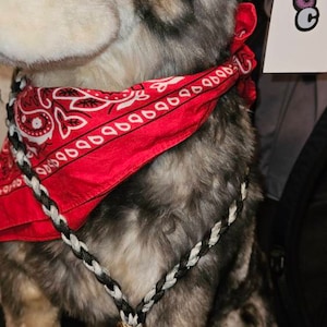 Comprador de Etsy ha añadido una foto de su compra