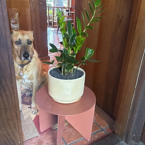 Comprador de Etsy ha añadido una foto de su compra