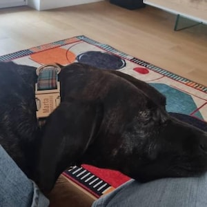 Valentina heeft een foto van de aankoop toegevoegd