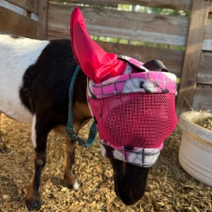 Denielle added a photo of their purchase