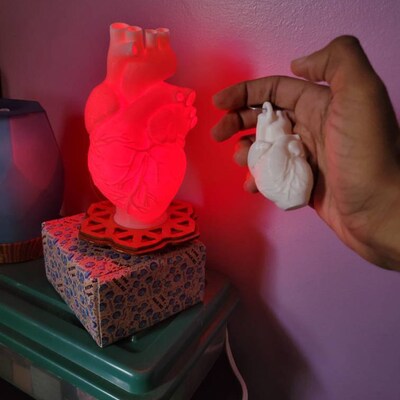 Human Heart 3D Printed Accent Lamp, Anatomical, Table Lamp, Novelty