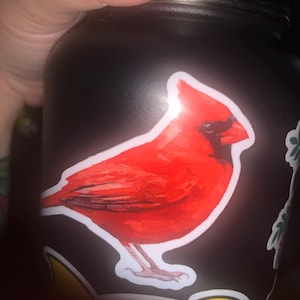 Drey adicionaram uma foto da sua compra