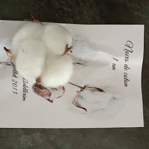 Samya a ajouté une photo de son achat