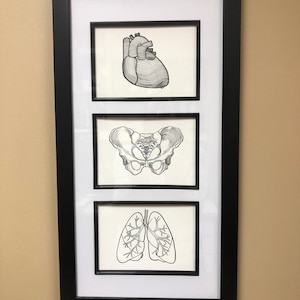 Judy added a photo of their purchase