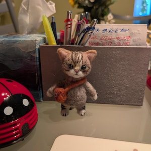 Karine さんが購入した商品の写真を追加しました