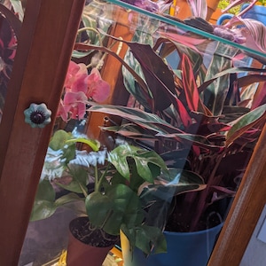 Kat added a photo of their purchase