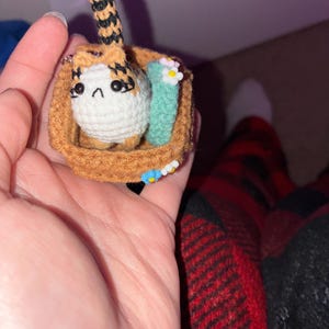 Miriam added a photo of their purchase