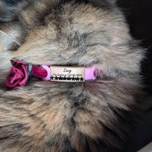 Abigail added a photo of their purchase