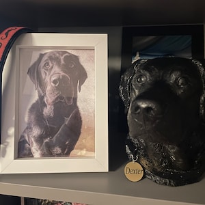 Lily added a photo of their purchase