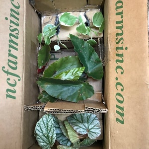 Jose added a photo of their purchase