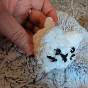Victoria added a photo of their purchase