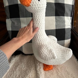 Jenn added a photo of their purchase