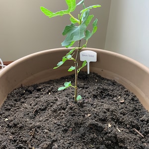 Yonghua ha añadido una foto de su compra