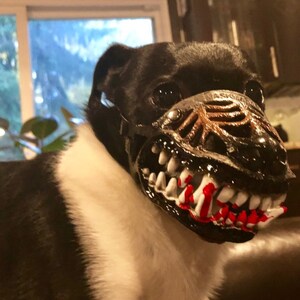 bloody teeth muzzle