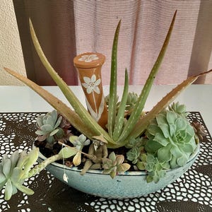 Dulce hat ein Foto des gekauften Artikels hinzugefügt