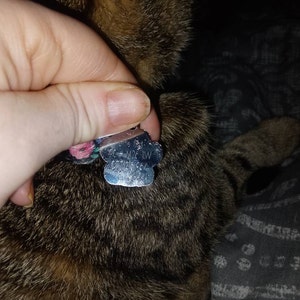 River-Rayne added a photo of their purchase