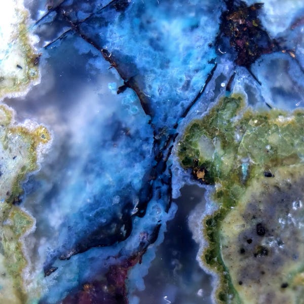 Moos Agate Flower Ll Agate Flower Multicolor Pertified Wood Ll Agate ...