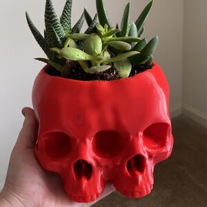 chase added a photo of their purchase