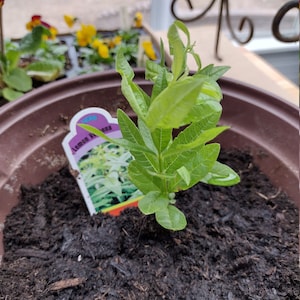 Kimberly ha añadido una foto de su compra