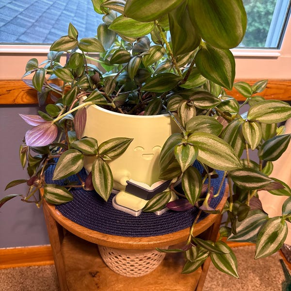 Cute Planter Book, Book Lover Gift, Unique Plant Pot Reading, Indoor ...