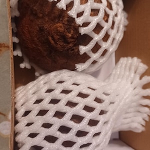 Alicia added a photo of their purchase