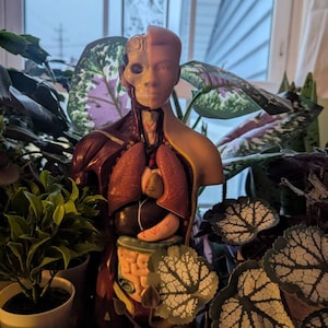 Jenny added a photo of their purchase