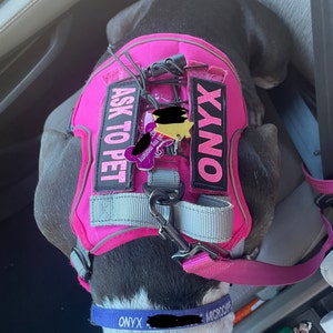 Angie added a photo of their purchase