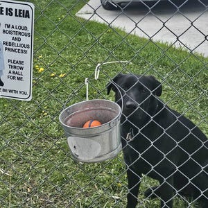 Slow Wild Children Sign, Neighborhood Traffic Caution Sign, School Zone Safety Sign, Child Crossing, Be Alert on the Road