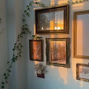 Emma added a photo of their purchase