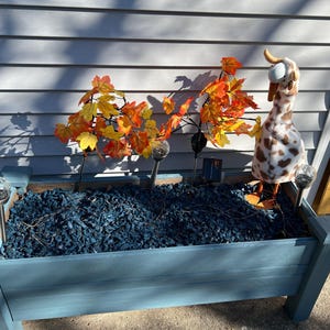 Shelley added a photo of their purchase