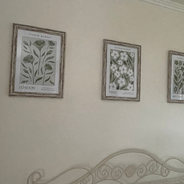 SET OF 3 UNFRAMED Flower Market Prints, Sage Green Botanical Wall Art ...