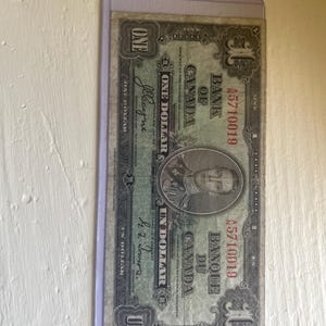 karl さんが購入した商品の写真を追加しました