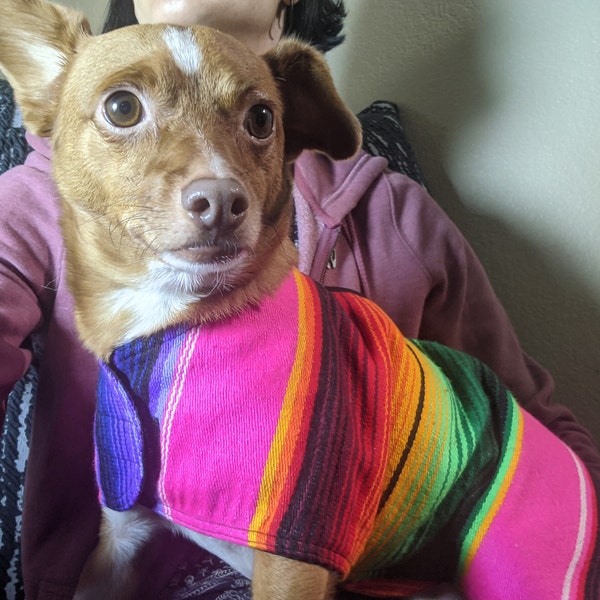 Mexico Soccer Jersey Handmade Mexican Dog Poncho Authentic