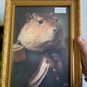Teddy ha aggiunto una foto del proprio acquisto