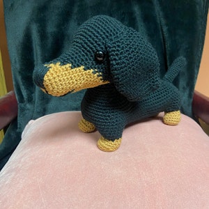 molly added a photo of their purchase