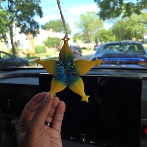 Adi added a photo of their purchase