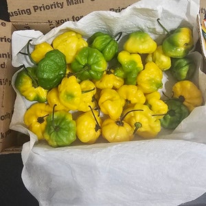 M. added a photo of their purchase