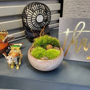 Linda hat ein Foto des gekauften Artikels hinzugefügt