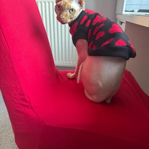 Sphynx Turtleneck Sweaters No Hair, Cats And Small Dogs Wear Soft Cotton Breathable Pullover For Devon Rex Cat, Cornish Rex, Bambino, Peterbald, Cat And Elf (Pink, L