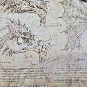 Ana added a photo of their purchase