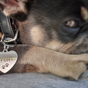 L added a photo of their purchase