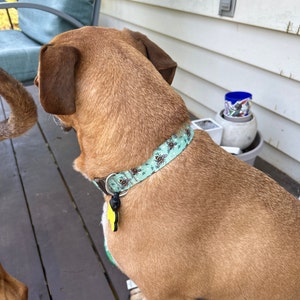Jessie added a photo of their purchase