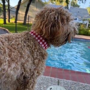 Sidney added a photo of their purchase