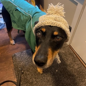 Kat ha añadido una foto de su compra