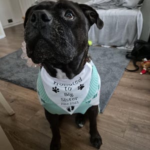 Amy added a photo of their purchase