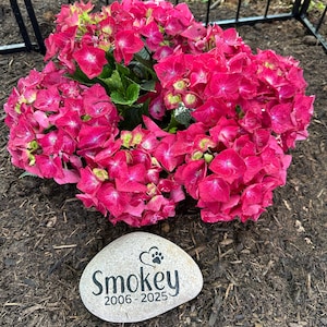 Lynne added a photo of their purchase